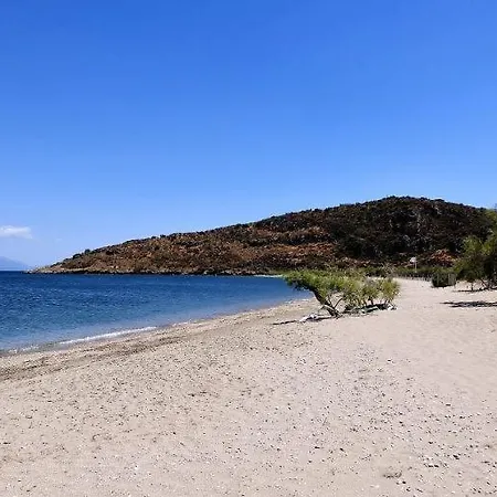 Seaside Astros Getaway - La Maison Etoile *